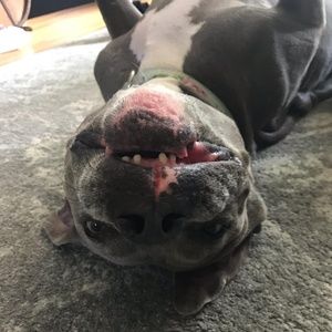 Meet your Posher, Heidi